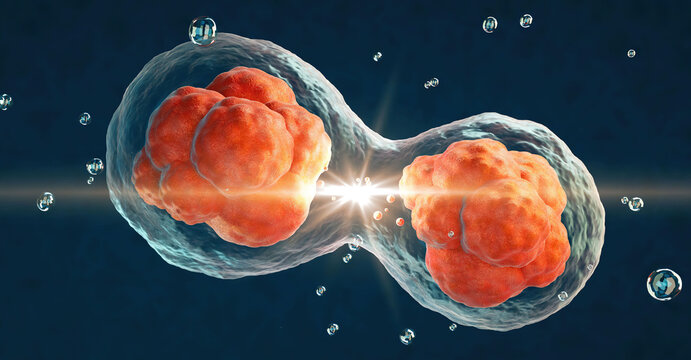 3D rendering of cell microscope background