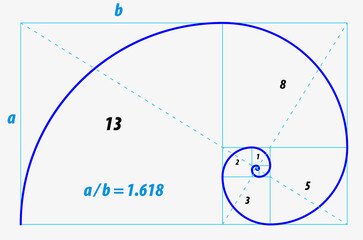 fibonacci ratio divine proportion isolated - 3d Illustration