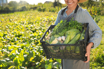 Woman with crate of different fresh ripe vegetables on farm, closeup. Space for text