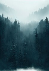 misty forest. 