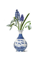 Spring snowdrops (Galanthus Nivalis) and Muscari in the vase. Snowdrops, a sign of spring.