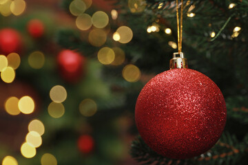Fototapeta premium Beautiful Christmas ball hanging on fir tree branch against blurred background, closeup. Space for text
