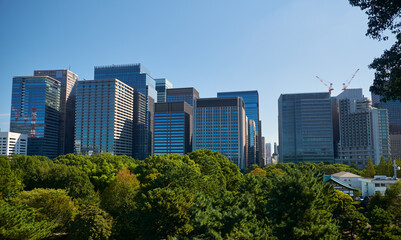 Fototapeta premium Skyscrapers of Marunouchi district, viewed from Imperial Palace gardens. Tokyo. Japan