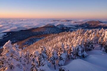 長野県・山ノ内町 冬の横手山から望む雲海と夕景