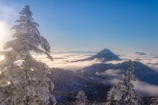 長野県・山ノ内町 雲海と冬の笠ヶ岳の風景