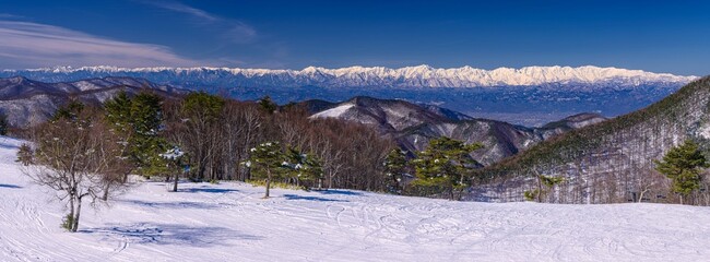 長野県・須坂市 冬の峰の原高原から望む北アルプスのパノラマ風景