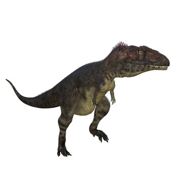Mapusaurus dinosaur isolated 3d render