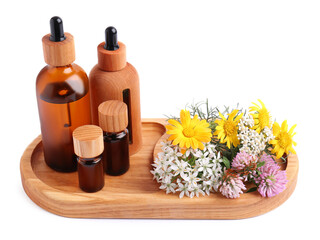 Tray with bottles of essential oils and different wildflowers on white background