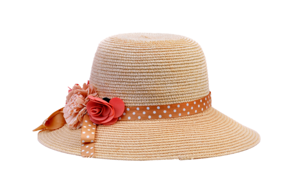 lady hat on transparent png