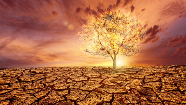 concept of impacts from drought and global warming © kunta