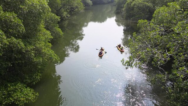 Kayak paddle ecoturismIn Sontecomapan mangrove