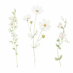 Beautiful floral stock illustration with hand drawn watercolor white wild field flowers. Clip art.