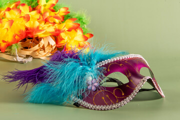 Venetian carnival mask with feathers, and typical elements in the background