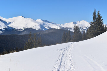 Fototapeta na wymiar Ski tracks surrounded by snow-covered peaks