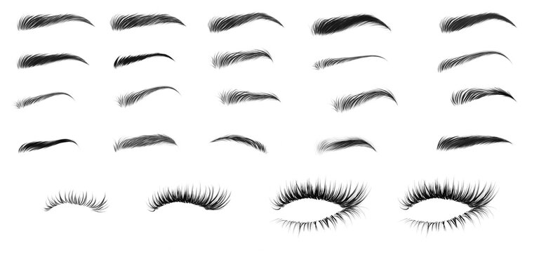 eyelashes collection false eyelashes collection vector female beauty products realistic false eyelashes hand drawn female eyelashes trendy fashion illustration for mascara pack or beauty products