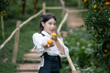 Woman farmer picking carefully ripe  orange in orchard.