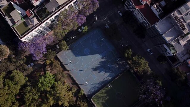 Blue basketball courts seen from a drone with a top down shot surrounded by trees with purple flowers (jacarandas or primaveras) in Mexico City