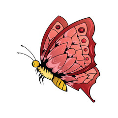 Flying red-winged butterfly