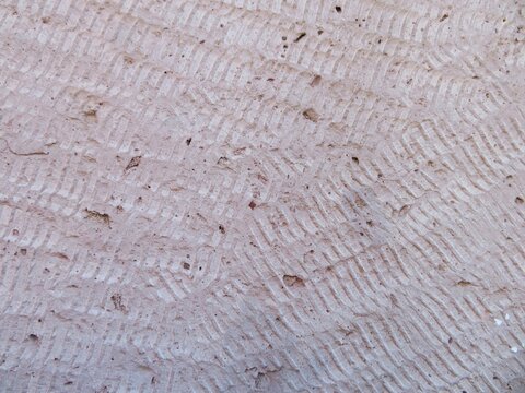 texture of the cantera stone wall