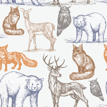 Illustration of wild animals of North America, seamless animal pattern that goes very well with batik clothes and can be used in various events and festivals © graphobia