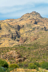 Hilltop mansions in the summits of arizona with towering mountains in the sonoras with visible cactuses and blue skies