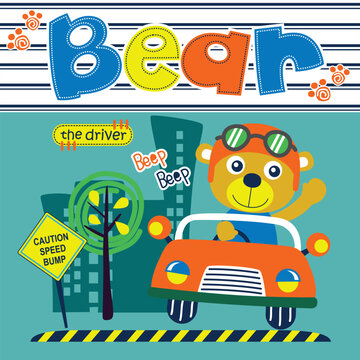 bear driving a car on the street funny animal cartoon,vector illustration 