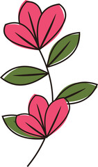 Flower Illustration