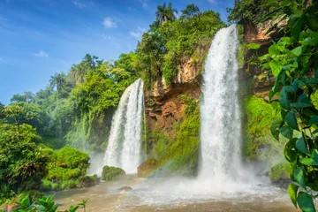 Foto op Plexiglas Iguacu falls on Argentina Side from southern Brazil side, South America © Aide
