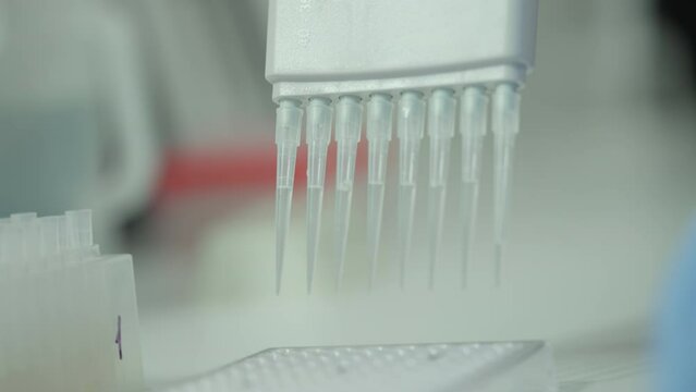 Close-up of a laboratory pipette tool collecting the sample liquid for analysis. Using laboratory pipette for examination of the gathered liquid substance. Laboratory pipette transferring liquid drops