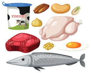 Protein foods group on white background