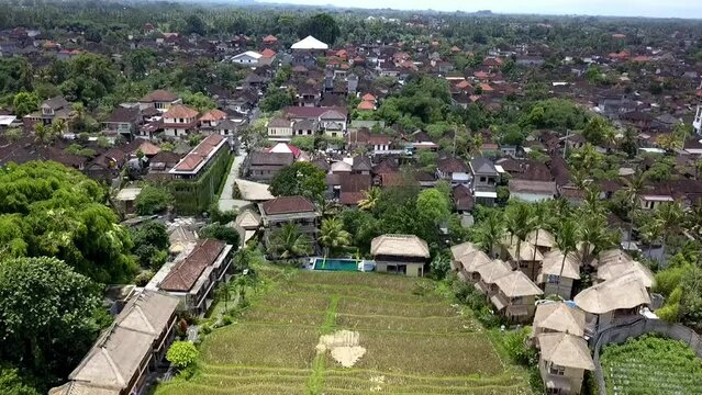 Wonderful aerial view flight Rice field surrounded by bamboo huts hotel resort nice Swimming pool  Bali, Ubud Spring 2017. High Quality Cinematic footage
panorama overview drone