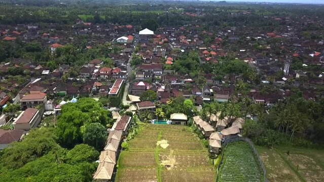 Fabulous aerial view flight Rice fields on the outskirts of a small town 
Bamboo hut hotel resort nice Swimming pool  Bali, Ubud Spring 2017. High Quality Cinematic footage
ascending drone