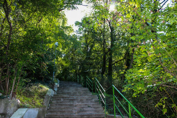 Obraz premium autumn park