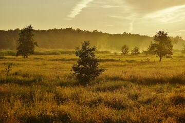 Natur