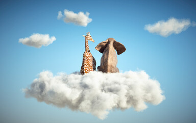 Elephant and giraffe sitting on a cloud in the sky. Dreaming and aspirations concept. © Mihaela