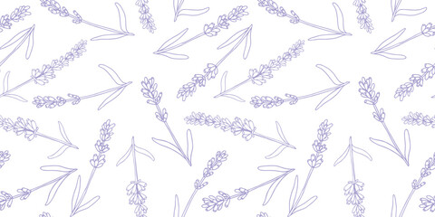 Lavender colorful seamless vector pattern hand drawn graphic flower texture background, sketch isolated on background, for wallpaper, textile, fabric, design packaging, scrapbooking, wedding card