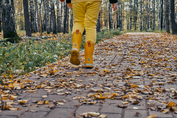 A child in yellow pants and rubber boots walks along a cobblestone road in a forest park. A walk in nature, in the autumn period of time. Selective selective focus
