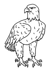 Hand-drawn illustration of a standing eagle