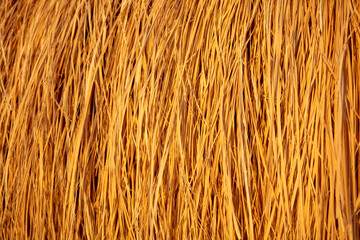 Dry hay as an abstract background.