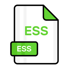 An amazing vector icon of ESS file, editable design