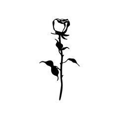 Obraz premium vector illustration of a black rose