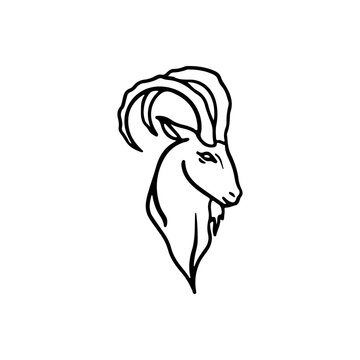 vector illustration of long horned goat head