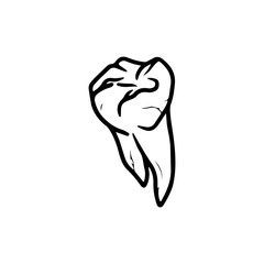tooth illustration vector with concept