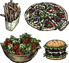 vector illustrations food fast food pizza burger fries salad