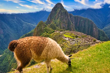 Crédence de cuisine en verre imprimé Machu Picchu インカ帝国の空中都市・マチュピチュ遺跡の絶景