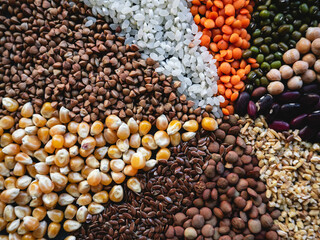 Autumn harvest of grain grain, full screen of whole grains. Different cereal background.