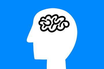 human head and brain isolated