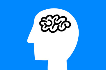 human head and brain isolated