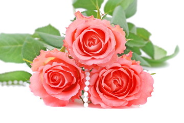 Bouquet of  pink roses on white. - 570165382