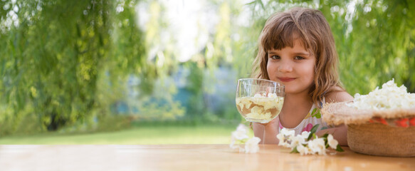 Child girl collects jasmine flowers and drinks jasmine tea at a table in the garden in the summer. Aromatherapy and Spa concept. natural eco product. banner